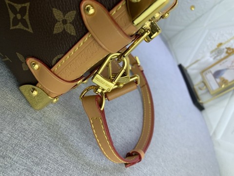 LV M46815 SIDE TRUNK 中號手袋 單肩斜挎兩用包-9