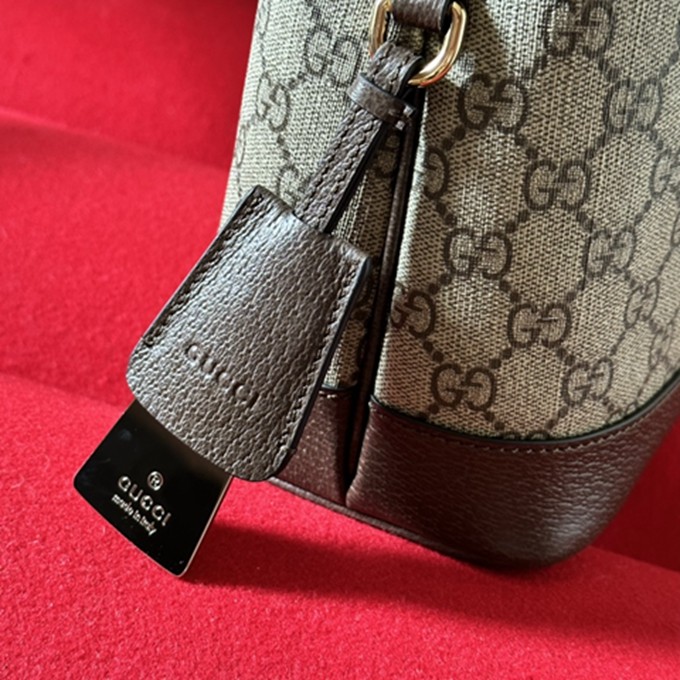 ophidia 系列 781402 GG小號肩背包-9